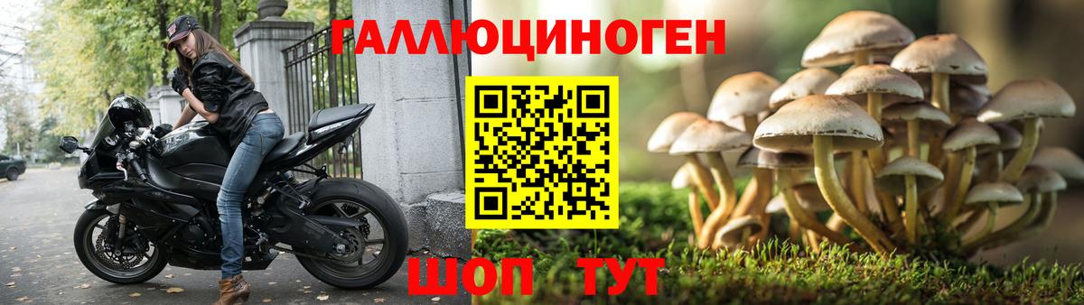 Галлюциногенные грибы MAGIC MUSHROOMS Дедовск